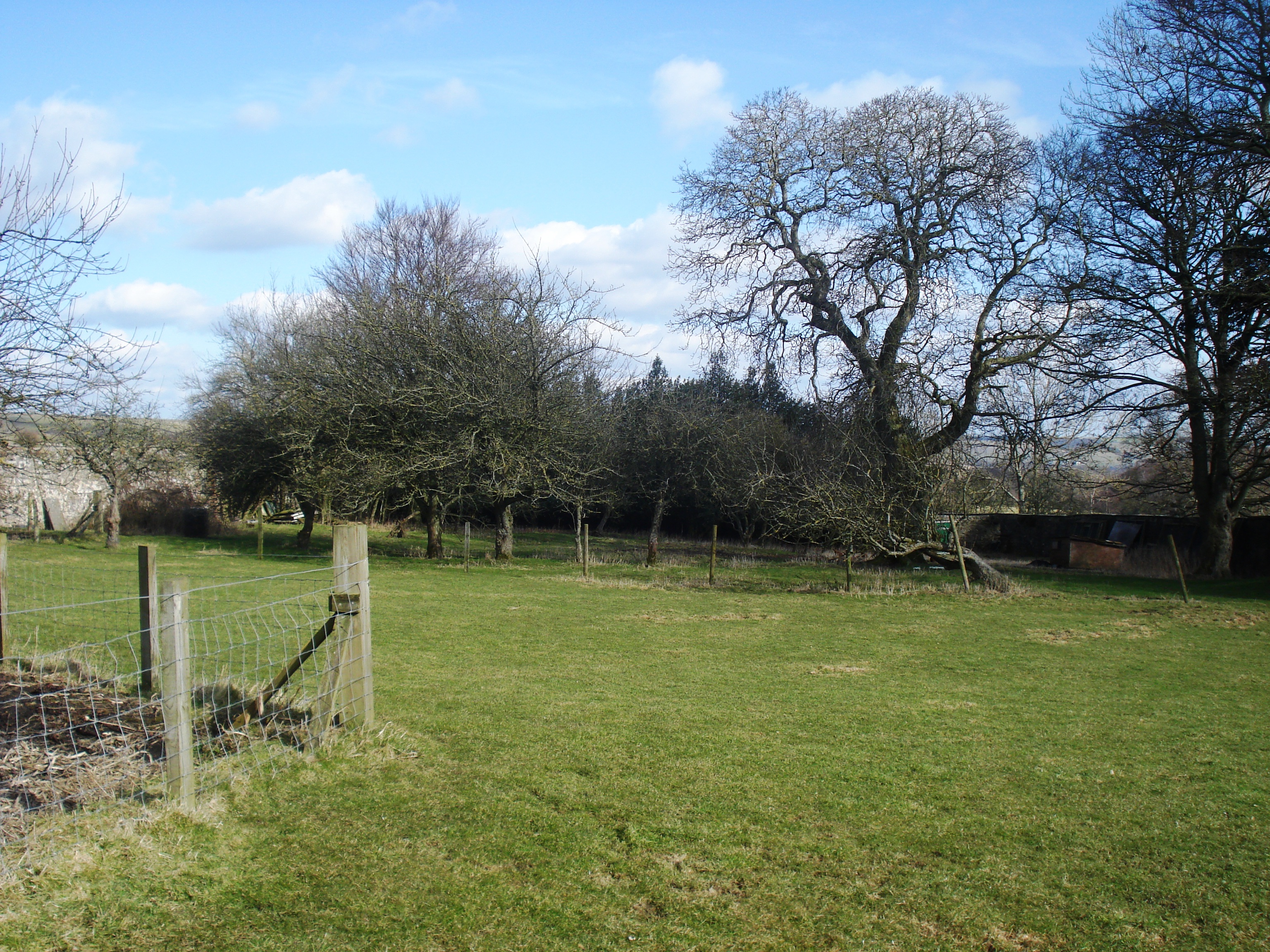 The orchard at Hoppyland