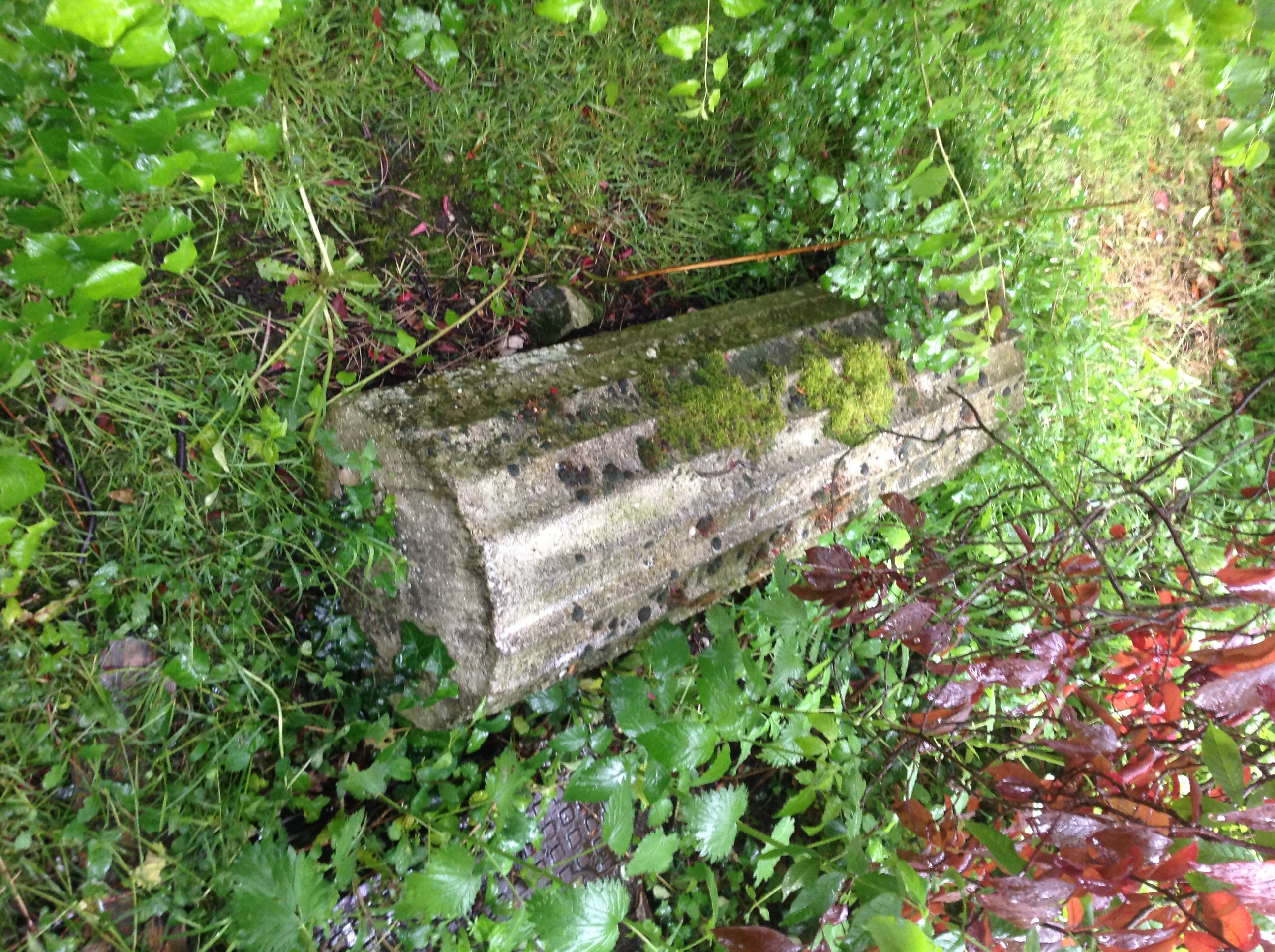 The one remaining section of a stone pillar of Thorpe Lea